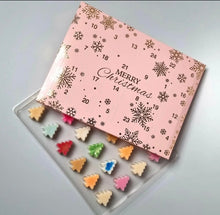 Load image into Gallery viewer, Advent Calendars
